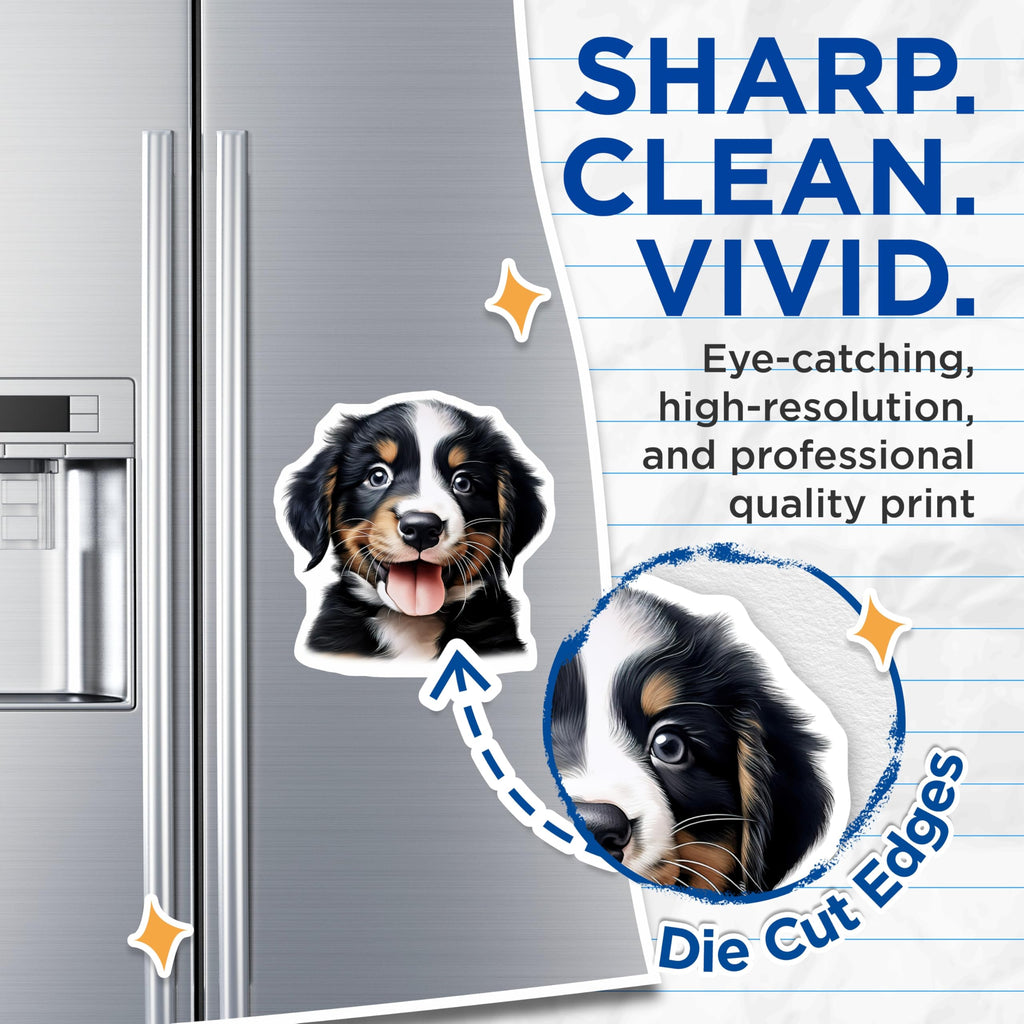(2 Pack) Bernese Puppy Magnets - Adorable Dog Lover Decor - Pet Parent Kitchen Accents - 5 Inches On Longest Side - Thick Durable Magnet - Made in USA - MAG25473