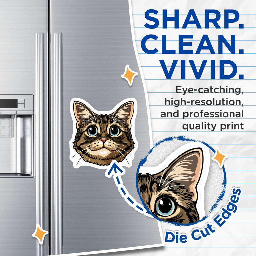 (2 Pack) Tabby Cat Magnets - Cute Feline Decor - Animal Lover Fridge Locker Accessories - 5 Inches On Longest Side - Thick Durable Magnet - Made in USA - MAG38470