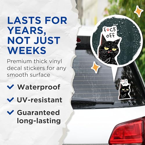 (2 Pack) Cat Attitude Stickers - Funny Animal Decal - Sarcastic Cat Quote - 5" On Longest Side - Sticks to Smooth Flat Surfaces - Made in USA - BMCS7828