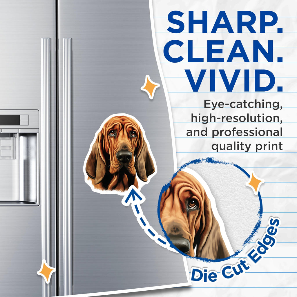 (2 Pack) Bloodhound Dog Portrait Magnets - Lifelike Hound Dog Art - Pet Owner Refrigerator Decor - 5 Inches On Longest Side - Thick Durable Magnet - Made in USA - MAG27366
