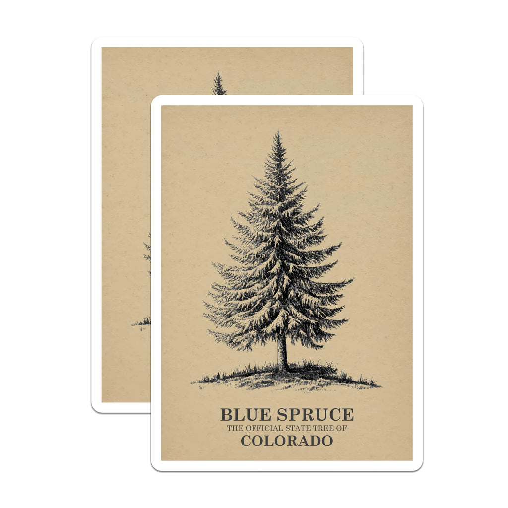 (2 Pack) Blue Spruce Magnets - Colorado Tree - Botanical Fridge Magnets - 5" On Longest Side - Premium Magnet - for Cars, Refrigerators, Toolboxes, Lockers - Made in USA - MAG17295