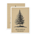 (2 Pack) Blue Spruce Magnets - Colorado Tree - Botanical Fridge Magnets - 5" On Longest Side - Premium Magnet - for Cars, Refrigerators, Toolboxes, Lockers - Made in USA - MAG17295