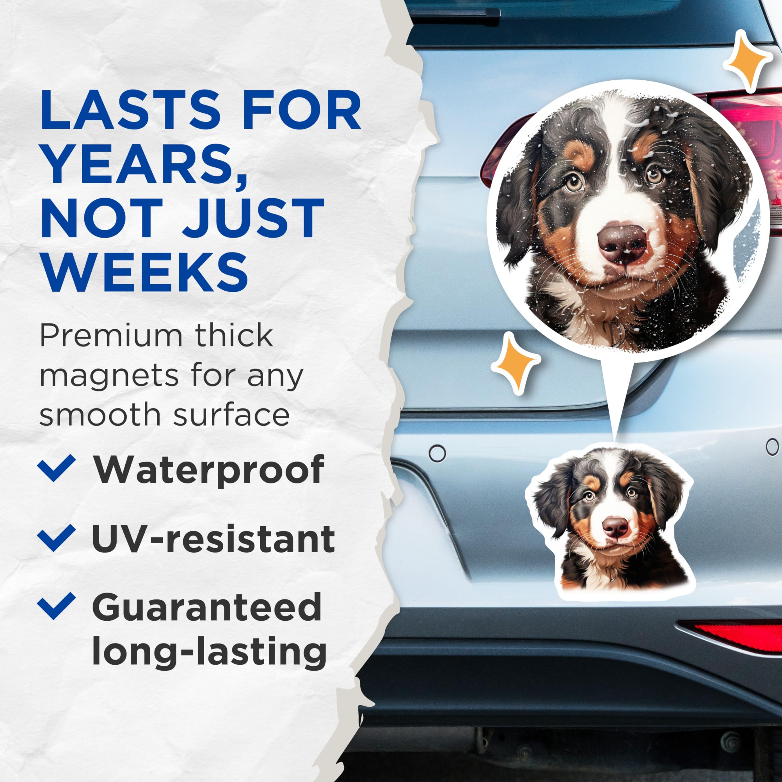 (2 Pack) Bernese Mountain Dog Puppy Magnets - Cute Dog Breed Decor - Pet Lover Refrigerator Accessory - 5 Inches On Longest Side - Thick Durable Magnet - Made in USA - MAG25054