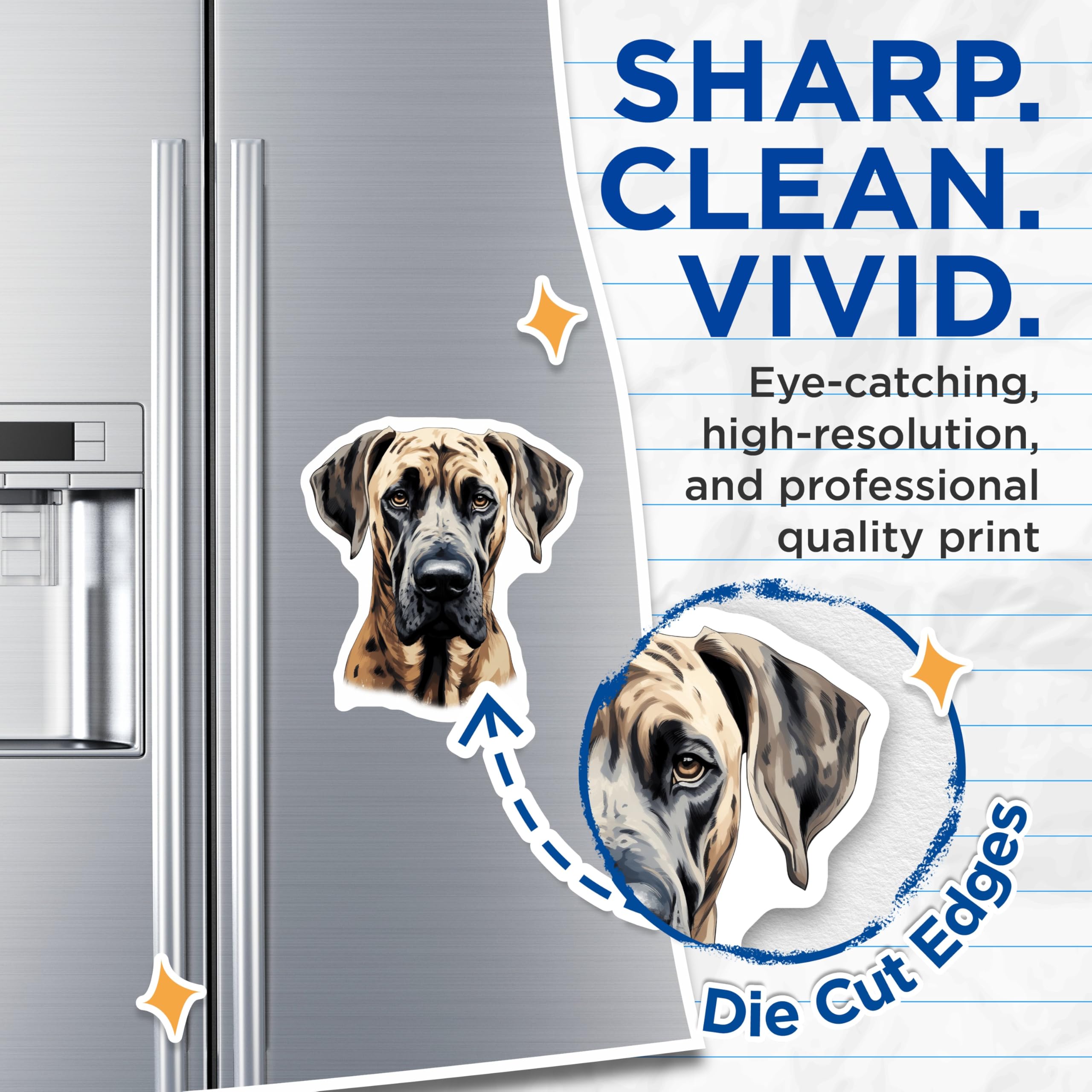 (2 Pack) Great Dane Magnets - Dog Lover Decor - Pet Owner Appreciation - Animal Art for Fridge - 5 Inches On Longest Side - Thick Durable Magnet - Made in USA - MAG26351