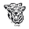 (2 Pack) Corgi Dog Stickers - Cute Corgi Face Stickers - Dog Lover Gifts - Animal Stickers for Laptop - 5" On Longest Side - Sticks to Smooth Flat Surfaces - Made in USA - BMCS4007
