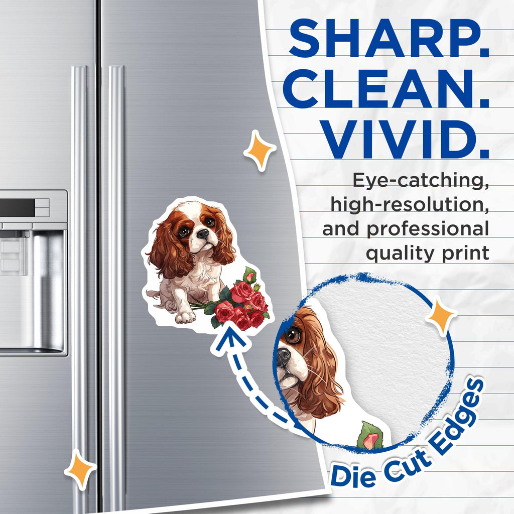 (2 Pack) Cavalier King Spaniel Magnets - Dog with Roses Decor - Cute Puppy Magnets - 5" On Longest Side - Premium Magnet - for Cars, Refrigerators, Toolboxes, Lockers - Made in USA - MAG16953
