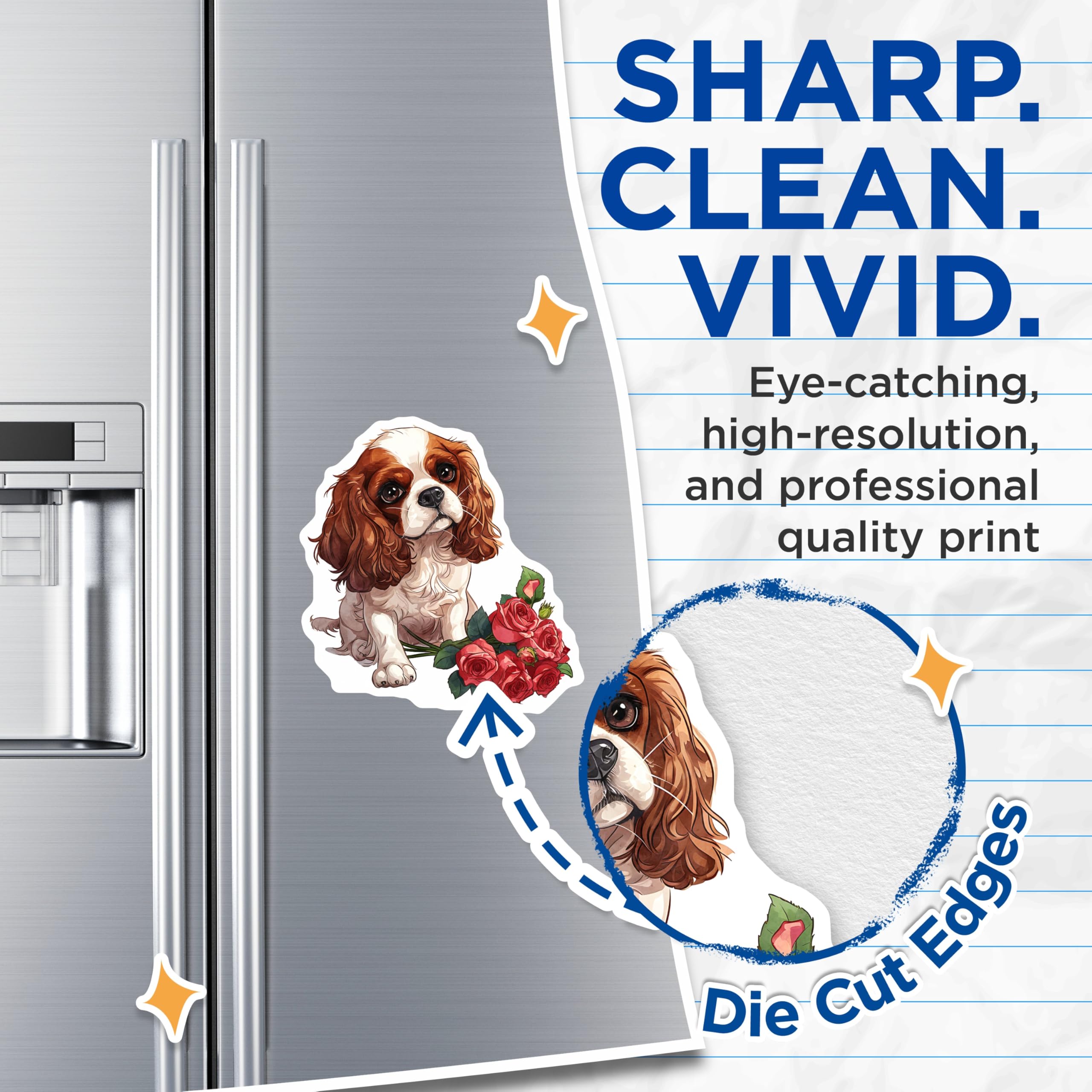 (2 Pack) Cavalier King Spaniel Magnets - Dog with Roses Decor - Cute Puppy Magnets - 5" On Longest Side - Premium Magnet - for Cars, Refrigerators, Toolboxes, Lockers - Made in USA - MAG16953