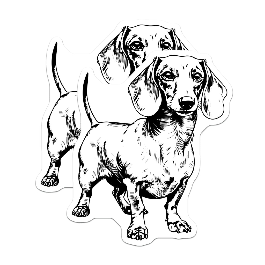 (2 Pack) Dachshund Magnets - Wiener Dog Pet Lover Refrigerator Decor - Doxie Mom Dad Kitchen Appliance Accent - 5 Inches On Longest Side - Thick Durable Magnet - Made in USA - MAG36058