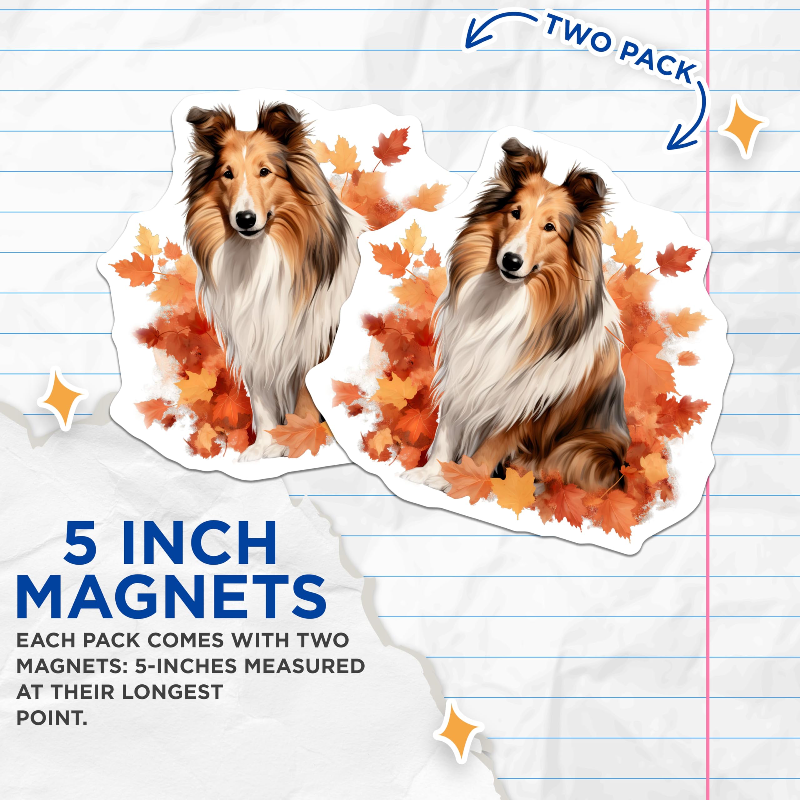 (2 Pack) Sheltie Magnets - Autumn Dog Decor - Shetland Sheepdog Owner Refrigerator Magnets - 5 Inches On Longest Side - Thick Durable Magnet - Made in USA - MAG26831