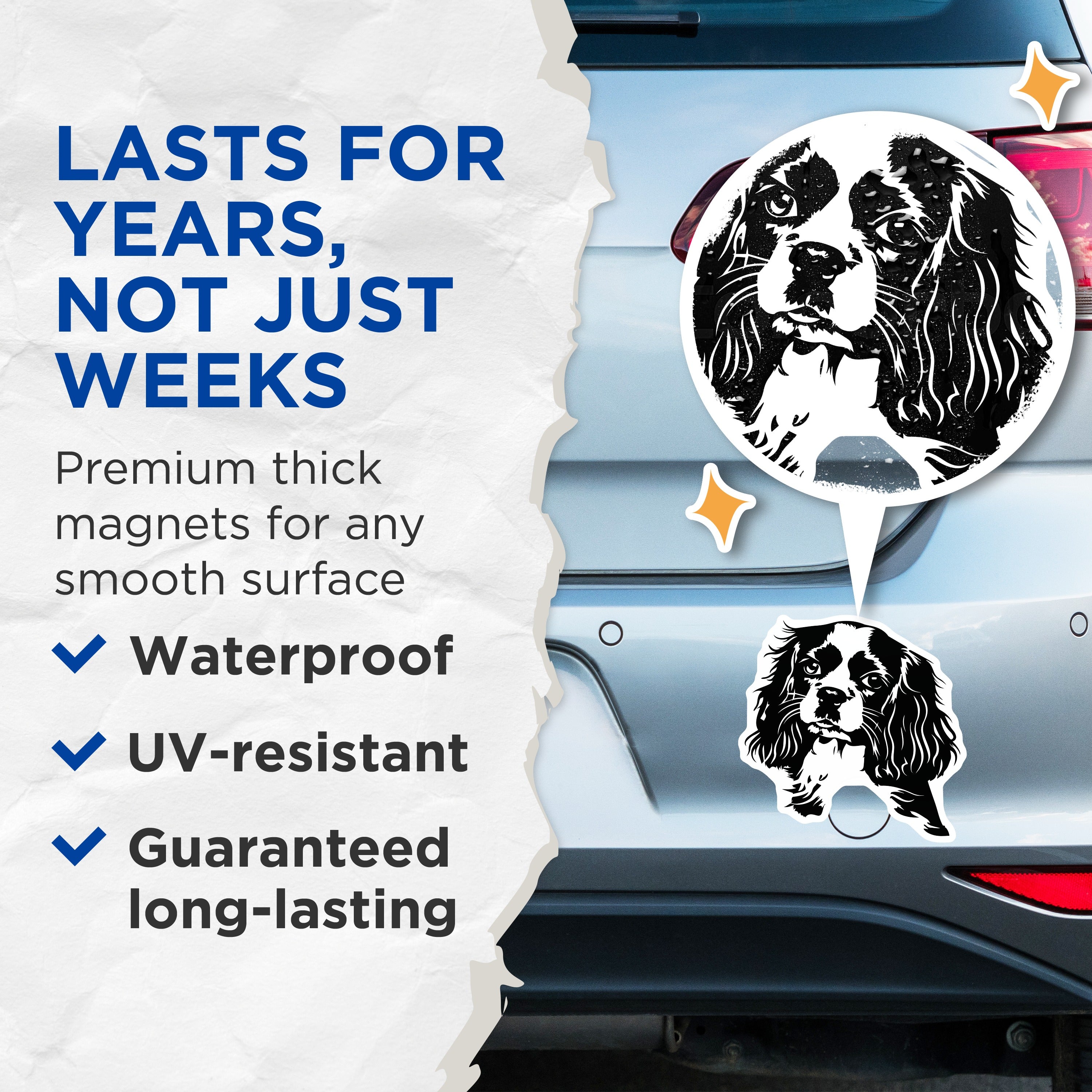 (2 Pack) Cavalier King Charles Spaniel Magnets - Dog Owner Decor - Pet Lover Refrigerator Accent - 5 Inches On Longest Side - Thick Durable Magnet - Made in USA - MAG37955