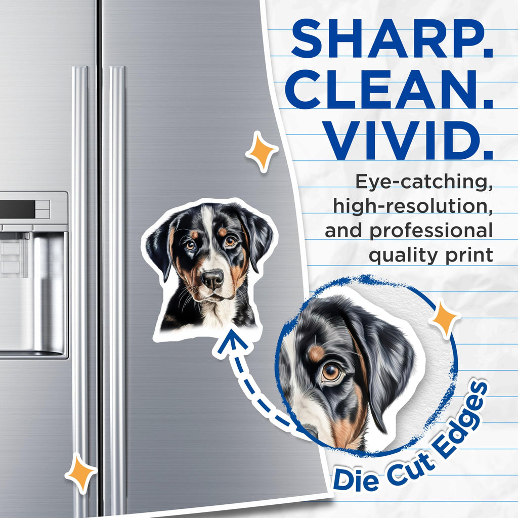 (2 Pack) Swiss Mountain Dog Magnets - Adorable Puppy Dog Decals - Tri Color Canine Art - Pet Lover Refrigerator Auto Display - 5 Inches On Longest Side - Thick Durable Magnet - Made in USA - MAG24553