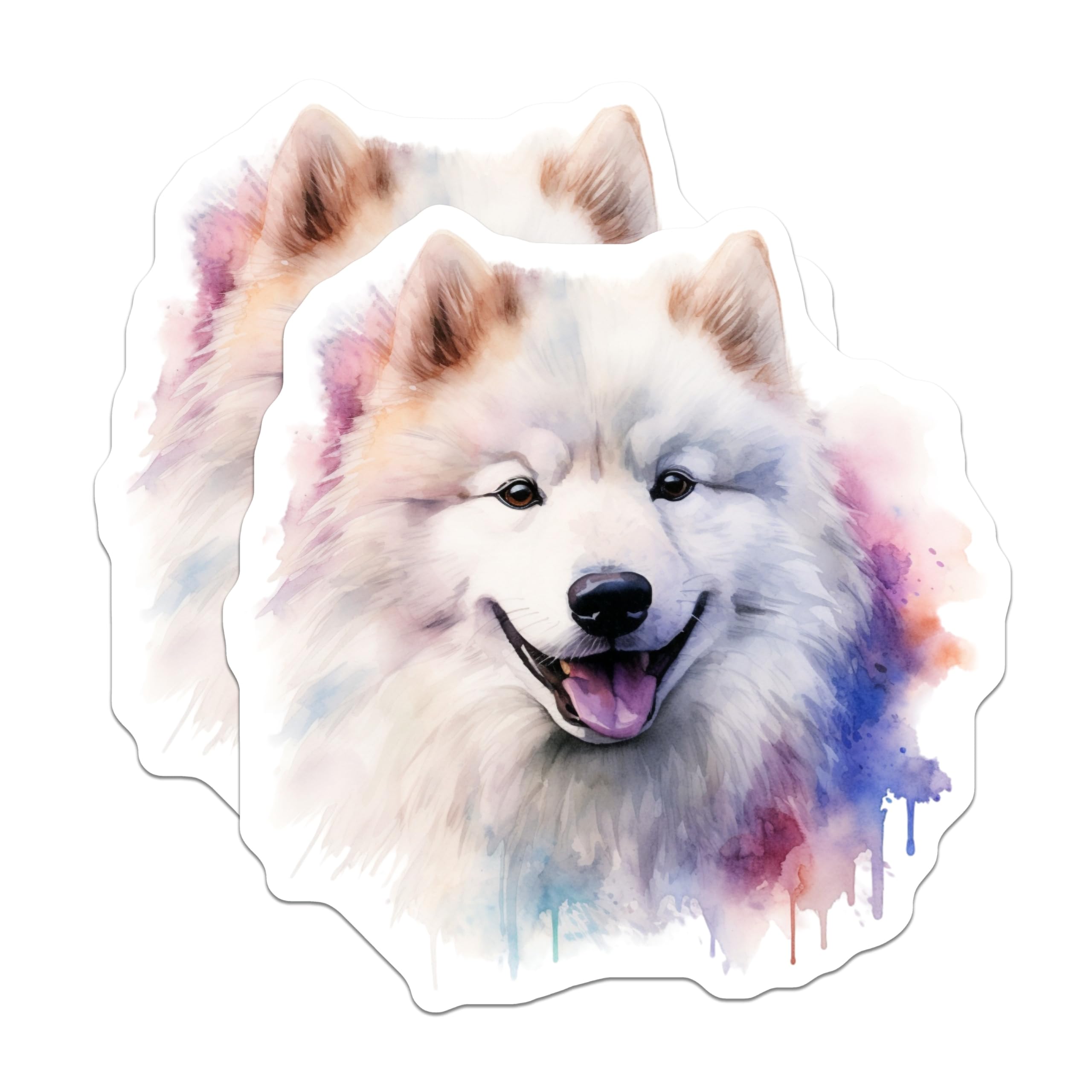 (2 Pack) Samoyed Dog Watercolor Magnets - Happy Pet Artwork - Dog Lover Accessory for Fridge - 5 Inches On Longest Side - Thick Durable Magnet - Made in USA - MAG29249