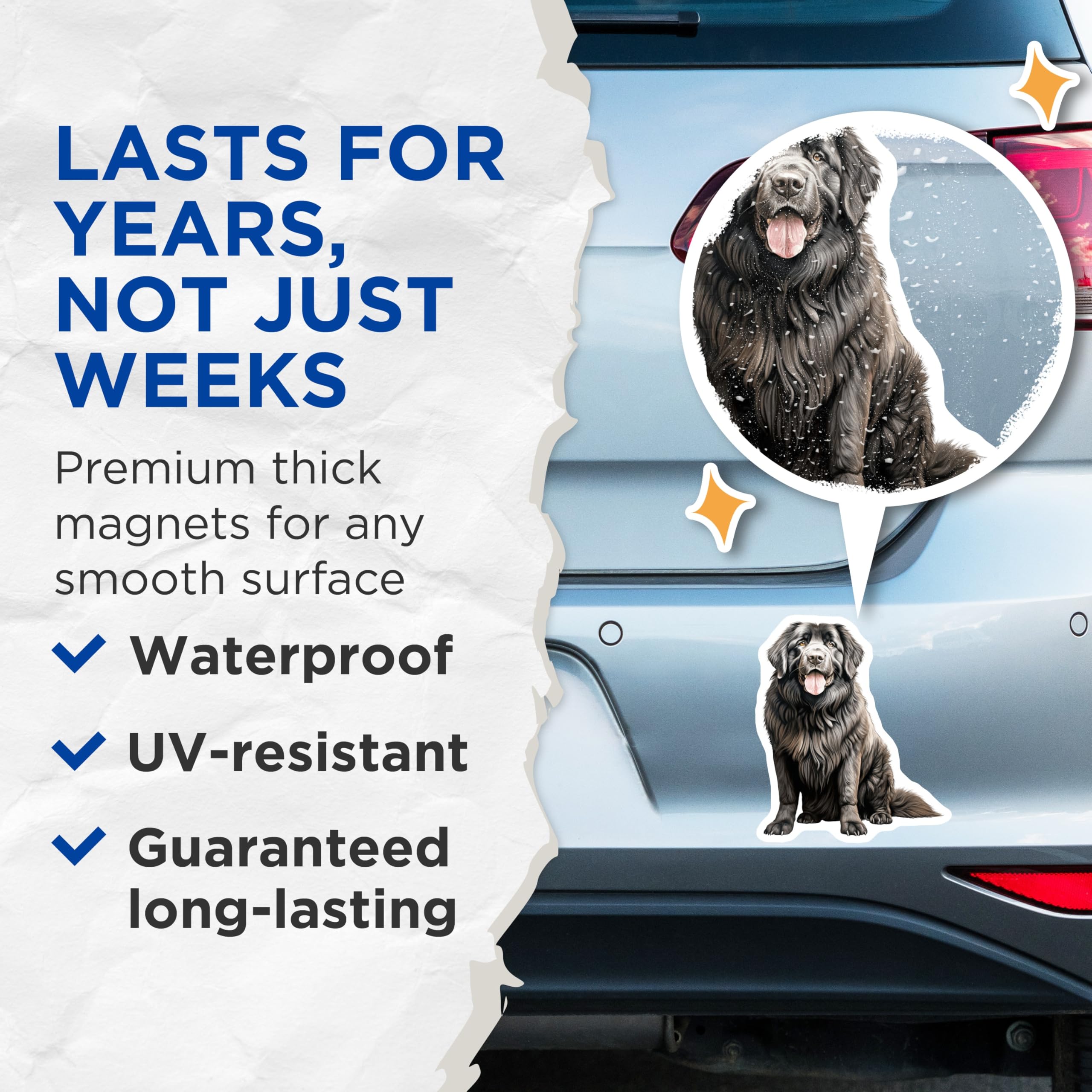 (2 Pack) Newfoundland Dog Magnets - Newfie Breed Decor - Pet Lover Accessory - 5 Inches On Longest Side - Thick Durable Magnet - Made in USA - MAG28979