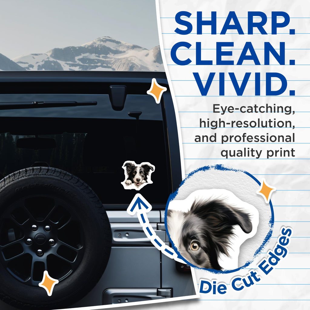 (2 Pack) Border Collie Dog Stickers - Cute Dog Decal - Pet Enthusiast Gift Sticker - 5" On Longest Side - Sticks to Smooth Flat Surfaces - Made in USA - BMCS9881