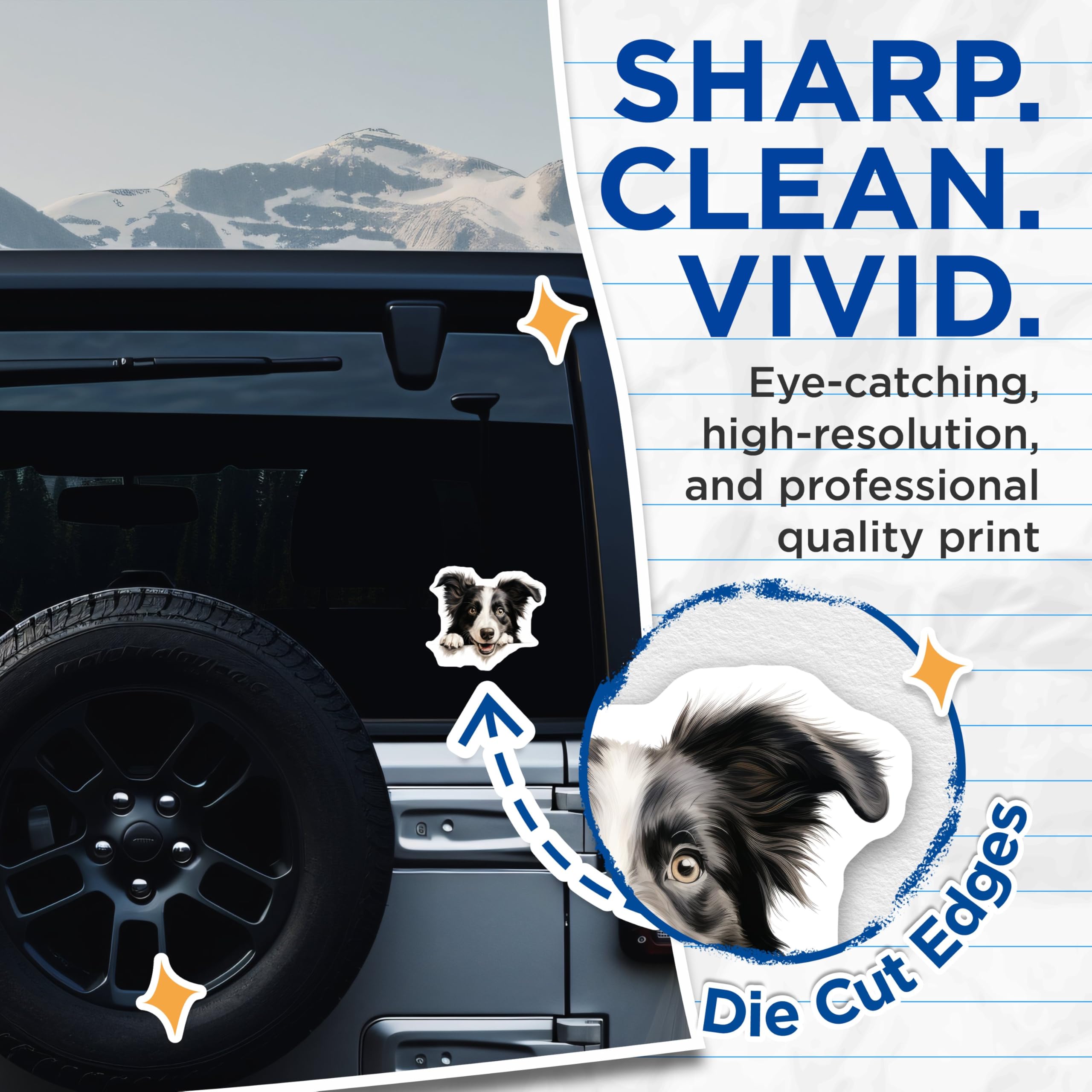 (2 Pack) Border Collie Dog Stickers - Cute Dog Decal - Pet Enthusiast Gift Sticker - 5" On Longest Side - Sticks to Smooth Flat Surfaces - Made in USA - BMCS9881