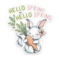 (2 Pack) Hello Spring Magnets - Springtime Kitchen Decor - Easter Decor - Animal Lovers Gift - 5" On Longest Side - for Cars, Fridges, Toolboxes - Made in US