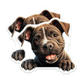 (2 Pack) Animal Lover Decor Magnet - 5" On Longest Side - Sticks to Smooth Flat Surfaces - Made in USA - MAG10288
