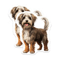 (2 Pack) Shaggy Brown Dog Magnets - Happy Puppy Fridge Decor - Pet Lover Kitchen Accessory - 5 Inches On Longest Side - Thick Durable Magnet - Made in USA - MAG25022