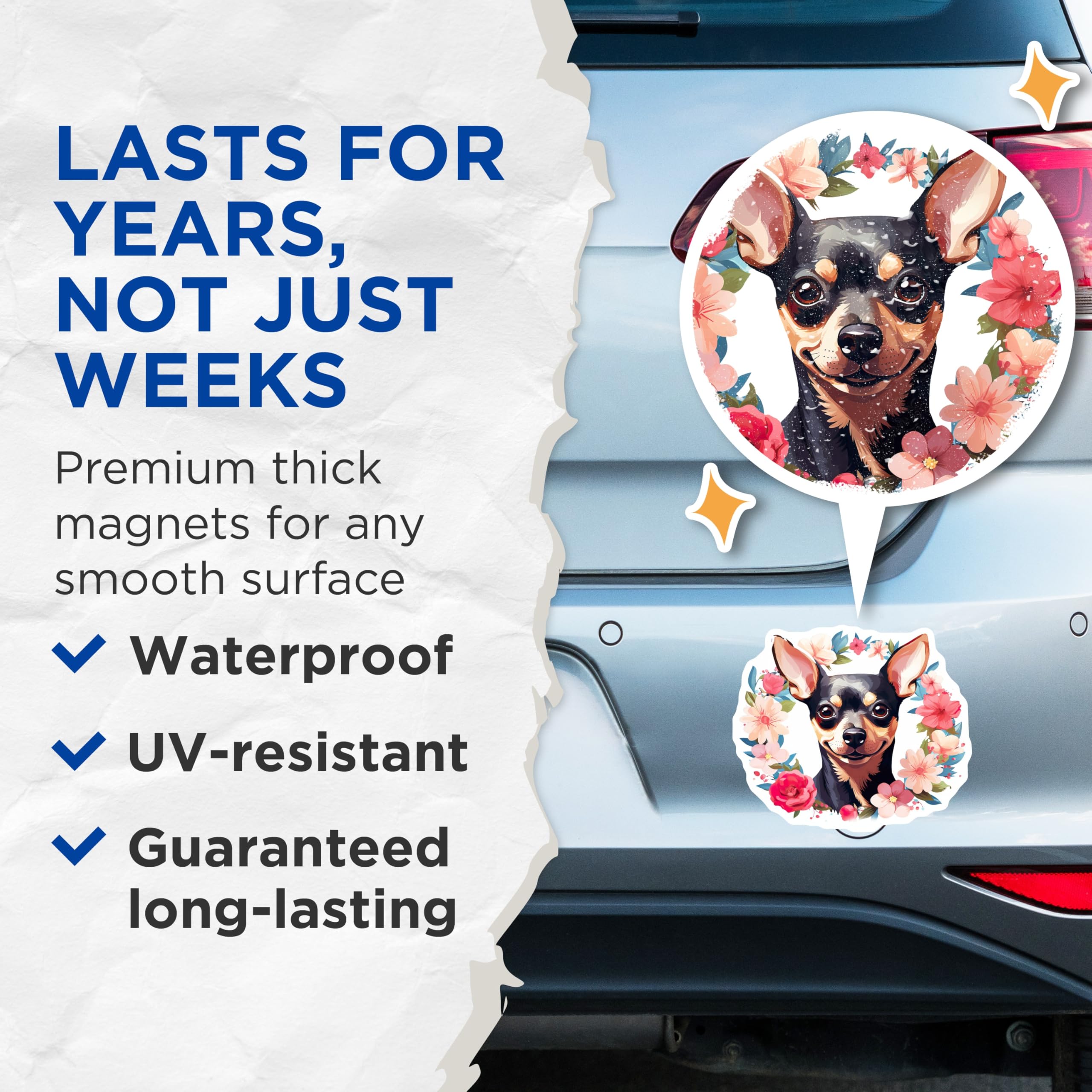 (2 Pack) Chihuahua Floral Magnets - Dog Lover Decor - Cute Pet Art for Fridge - 5 Inches On Longest Side - Thick Durable Magnet - Made in USA - MAG30027
