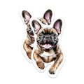 (2 Pack) French Bulldog Magnets - French Bulldog Dog Breed Magnets - Frenchie Breed - 5 Inches On Longest Side - Premium Magnet - for Cars, Refrigerators, Toolboxes - Made in USA - MAG2187