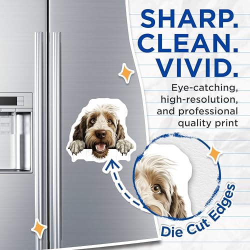 (2 Pack) Cute Puppy Illustration Magnet - Fridge or Locker Decor - 5" On Longest Side - Sticks to Smooth Flat Surfaces - Made in USA - MAG10286