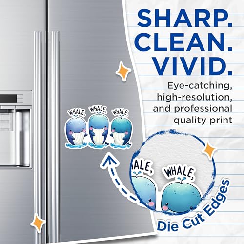 (2 Pack) Whale Magnets - Cute Whale Fridge Magnets - Funny Whale Kitchen Decor Magnets- 5" On Longest Side - for Fridges, Toolboxes, Cars - Made in USA - MAG2647
