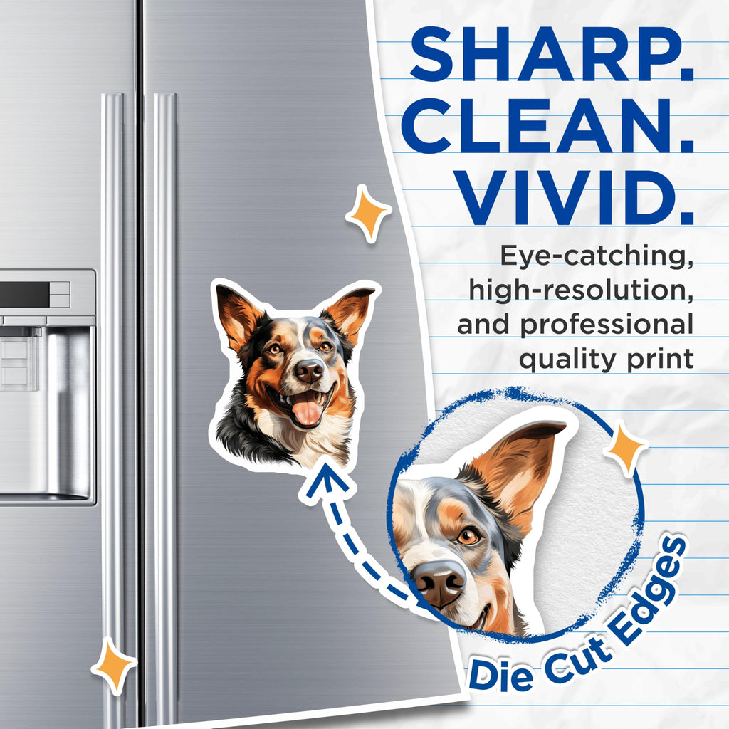 (2 Pack) Australian Shepherd Magnets - Smiling Dog Art - Pet Parent Decor for Dog Lovers - 5 Inches On Longest Side - Thick Durable Magnet - Made in USA - MAG26645