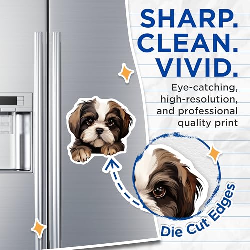 (2 Pack) Dog Lover Decor Magnet - Fridge Decoration - Kitchen Accessory - 5" On Longest Side - Sticks to Smooth Flat Surfaces - Made in USA - MAG10278