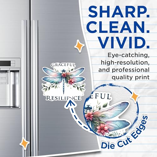 (2 Pack) Graceful Resilience Magnets - Inspirational Dragonfly Magnets - Floral Dragonfly Decorative Magnets- 5" On Longest Side - for Fridges, Toolboxes, Cars - Made in USA - MAG2679
