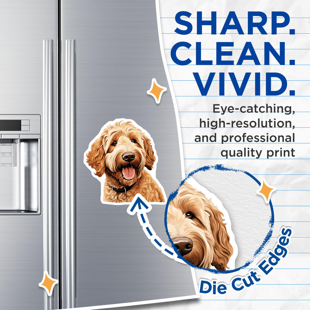 (2 Pack) Goldendoodle Dog Magnets - Happy Doodle Pet Decor - Dog Mom Fridge Accessory - Animal Lover Locker Magnet - 5 Inches On Longest Side - Thick Durable Magnet - Made in USA - MAG27878