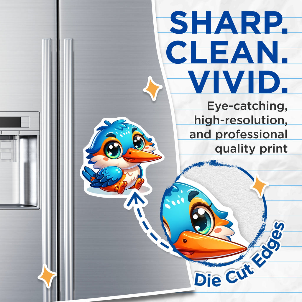 (2 Pack) Cute Kingfisher Bird Magnets - Kawaii Animal Fridge Decor - Adorable Bird Lover Item for Kids - 5 Inches On Longest Side - Thick Durable Magnet - Made in USA - MAG37527