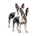 (2 Pack) Boston Terrier Dog Magnets - Adorable Canine Illustration Decor - Pet Breed Lover Refrigerator and Locker Art - 5 Inches On Longest Side - Thick Durable Magnet - Made in USA - MAG24379