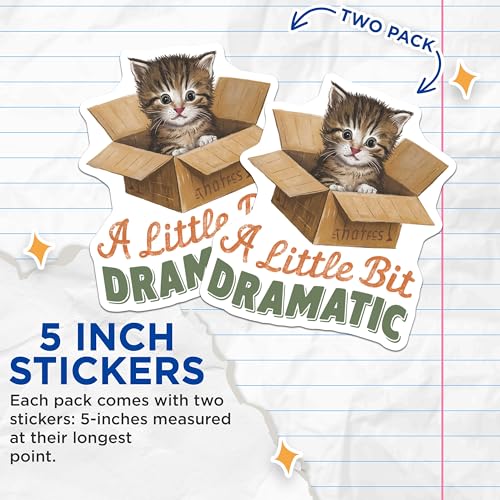 (2 Pack) Cute Kitten Box Stickers - Funny Cat Quote - Animal Lovers Sticker - 5" On Longest Side - Sticks to Smooth Flat Surfaces - Made in USA - BMCS5925