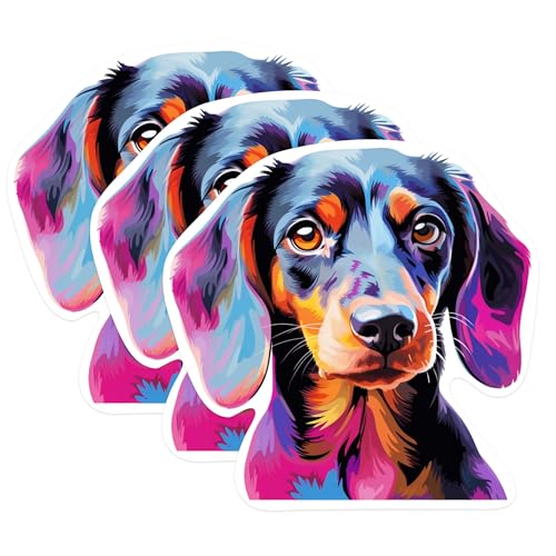 (3 Pack) Dachshund Dog Decals - Wiener Dog Lover - Colorful Pet Art - 3 Inches On Longest Side - Easy Peel & Apply - Made in USA - 3MCS0716