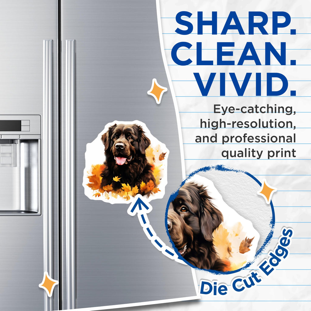 (2 Pack) Newfoundland Dog Magnets - Autumn Leaves Decor - Fall Pet Art for Dog Lovers - 5 Inches On Longest Side - Thick Durable Magnet - Made in USA - MAG27637