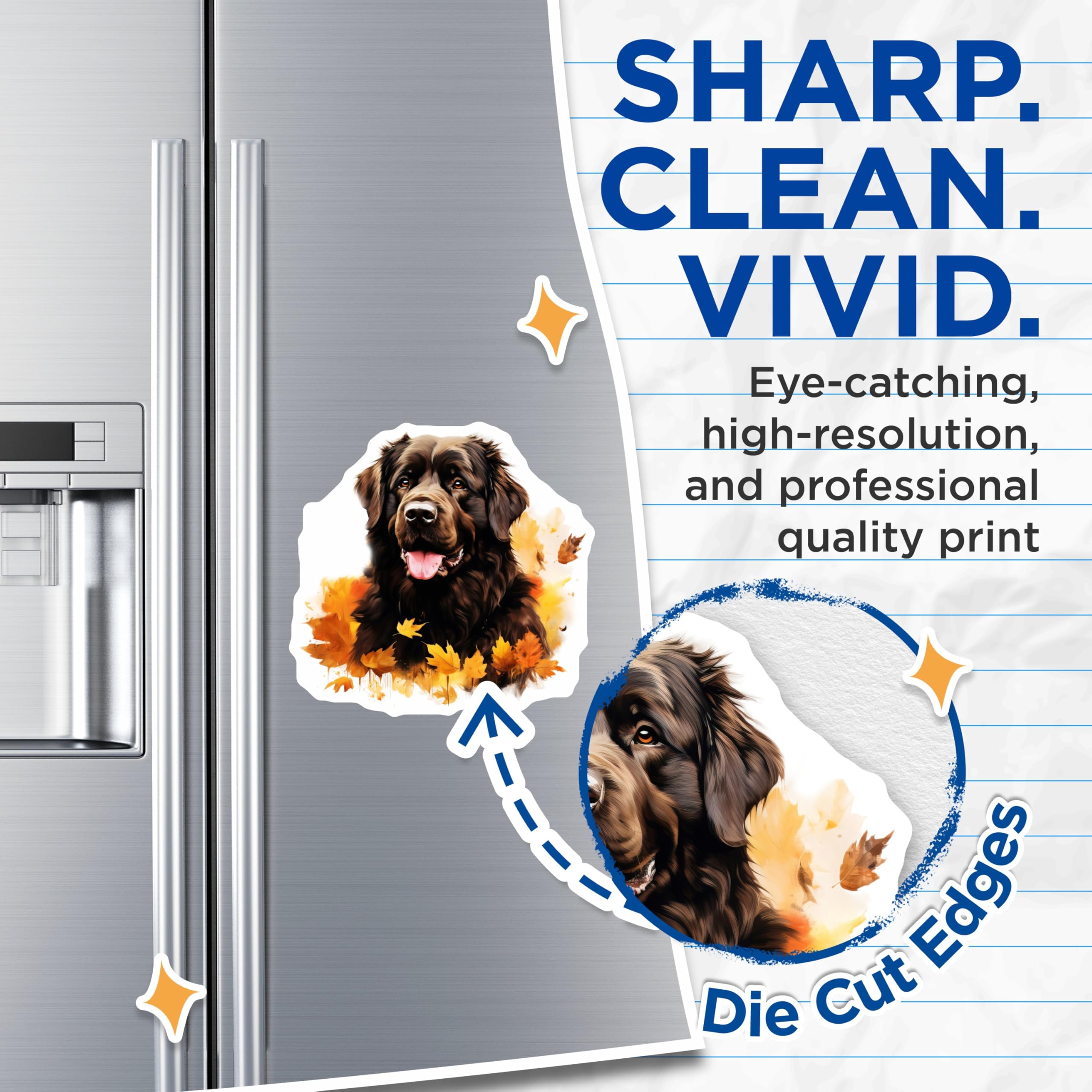 (2 Pack) Newfoundland Dog Magnets - Autumn Leaves Decor - Fall Pet Art for Dog Lovers - 5 Inches On Longest Side - Thick Durable Magnet - Made in USA - MAG27637