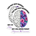 (2 Pack) You May Not Remember But I Will Never Forget Magnet - Brain and Flower Design - 5" On Longest Side - Sticks to Smooth Flat Surfaces - Made in USA - MAG9795