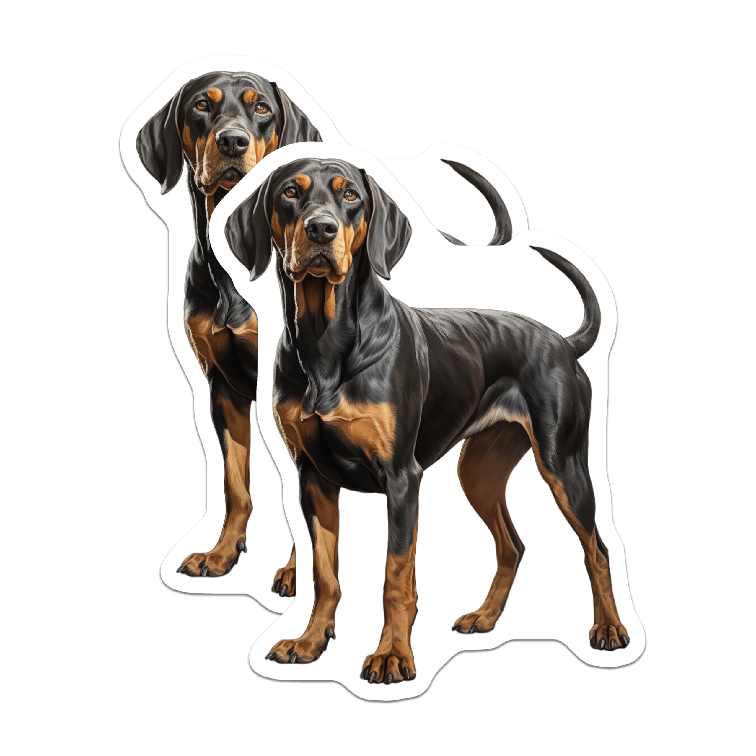 (2 Pack) Black and Tan Coonhound Magnets - Dog Owner Refrigerator Decor - Hound Dog Lover Home Accents - 5 Inches On Longest Side - Thick Durable Magnet - Made in USA - MAG28469