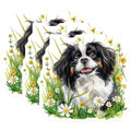 (3 Pack) Cavalier Decals - King Charles Spaniel - Laptop Decal- 3 Inches On Longest Side - Easy Peel & Apply - Made in USA - 3MCS5286