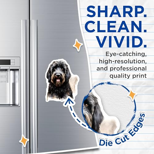 (2 Pack) Watercolor Labradoodle Goldendoodle Magnets - Pet Lover Dog Mom Dad - Animal Fridge Locker Decor - 5 Inches On Longest Side - Thick Durable Magnet - Made in USA - MAG29348