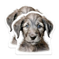 (2 Pack) Cute Scruffy Puppy Magnets - Dog Owner Refrigerator Decor - Pet Parent Animal Enthusiast - 5 Inches On Longest Side - Thick Durable Magnet - Made in USA - MAG29926