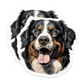 (2 Pack) Bernese Mountain Dog Magnets - Dog Lover Decor - Pet Parent Supplies - 5 Inches On Longest Side - Thick Durable Magnet - Made in USA - MAG29757
