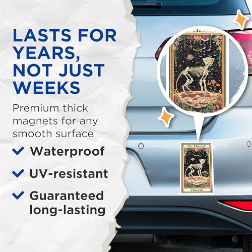 (2 Pack) Cheetah Skeleton Magnets - Cosmic Animal Magnet - Ative Space Magnet - Unique Art Magnet for Refrigerator - 5" On Longest Side - for Cars, Fridges, Toolboxes - Made in USA - MAG3646