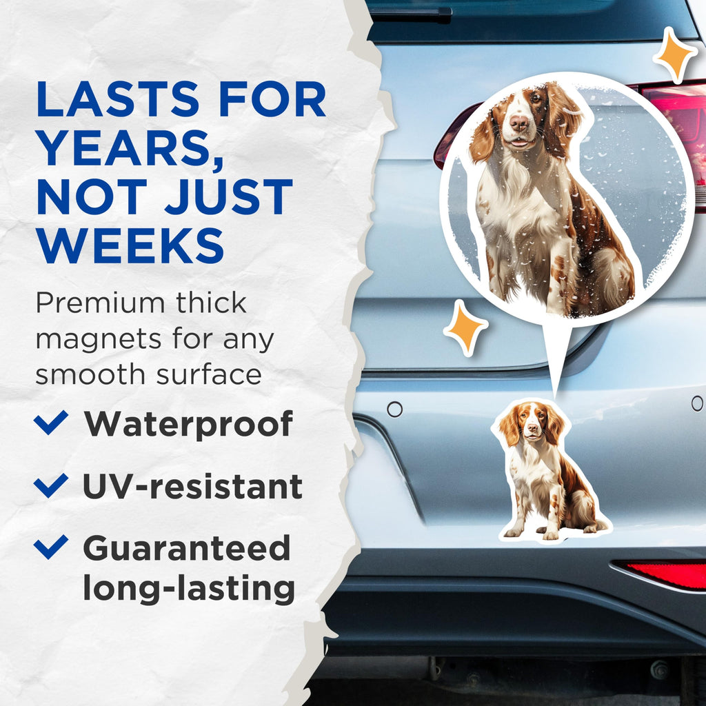 (2 Pack) Springer Spaniel Magnets - Dog Lover Decor - Pet Breed Artwork for Fridge - 5 Inches On Longest Side - Thick Durable Magnet - Made in USA - MAG27306