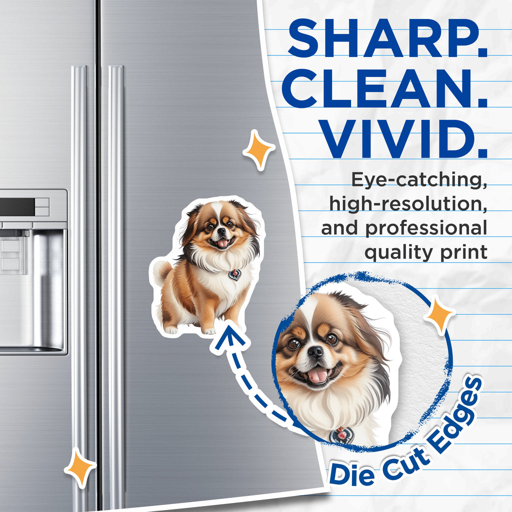 (2 Pack) Adorable Shih Tzu Magnets - Fluffy Puppy Fridge Decor - Pet Lover Animal Art - Dog Mom Accessory - 5 Inches On Longest Side - Thick Durable Magnet - Made in USA - MAG37808