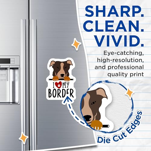 (2 Pack) I Love My Border Dog Magnets - Dog Lover Home - Cute Pet Magnets - Animal Fridge Magnets - 5" On Longest Side - for Cars, Fridges, Toolboxes - Made in USA - MAG4302