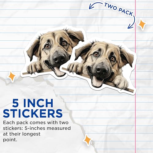 (2 Pack) Dog Lover Stickers - Cute Dog Art - Adorable Puppy Design - 5" On Longest Side - Sticks to Smooth Flat Surfaces - Made in USA - BMCS9834