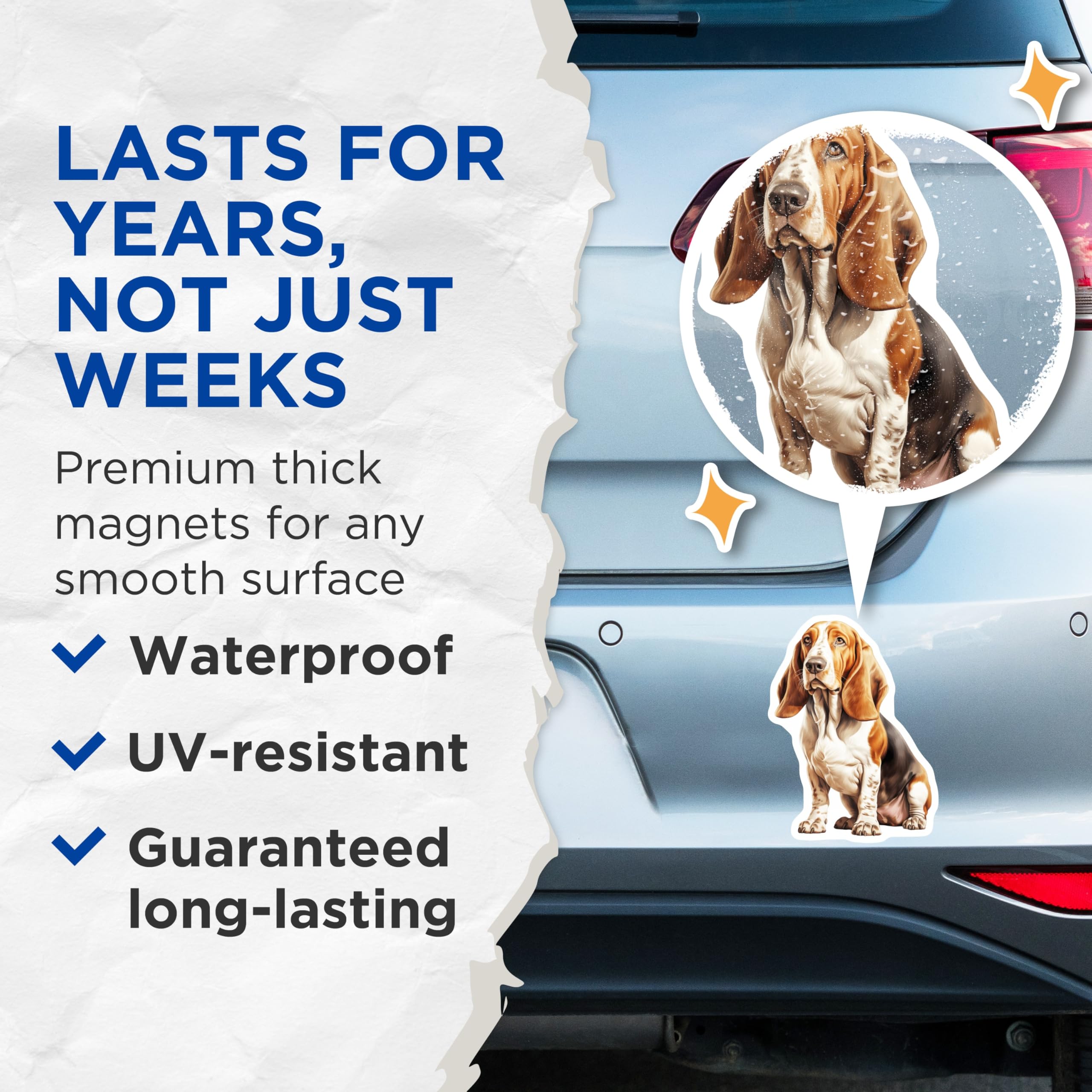 (2 Pack) Basset Hound Magnets - Dog Breed Lover Decor - Pet Owner Kitchen Accessories - Basset Hound Mom Dad - 5 Inches On Longest Side - Thick Durable Magnet - Made in USA - MAG29849