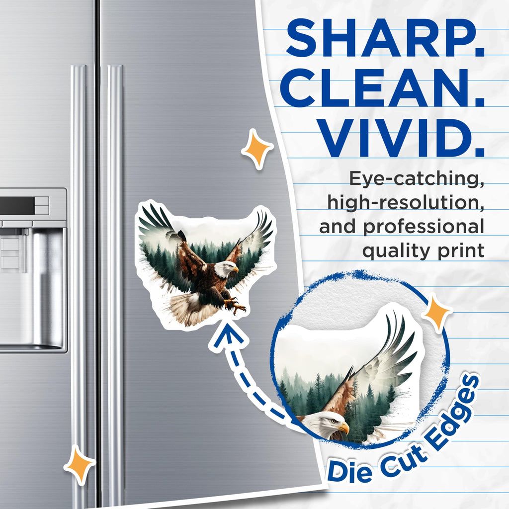 (2 Pack) Eagle Magnets - Wildlife Illustration - Majestic Bird Fridge Decor - 5" On Longest Side - Premium Magnet - for Cars, Refrigerators, Toolboxes, Lockers - Made in USA - MAG14346
