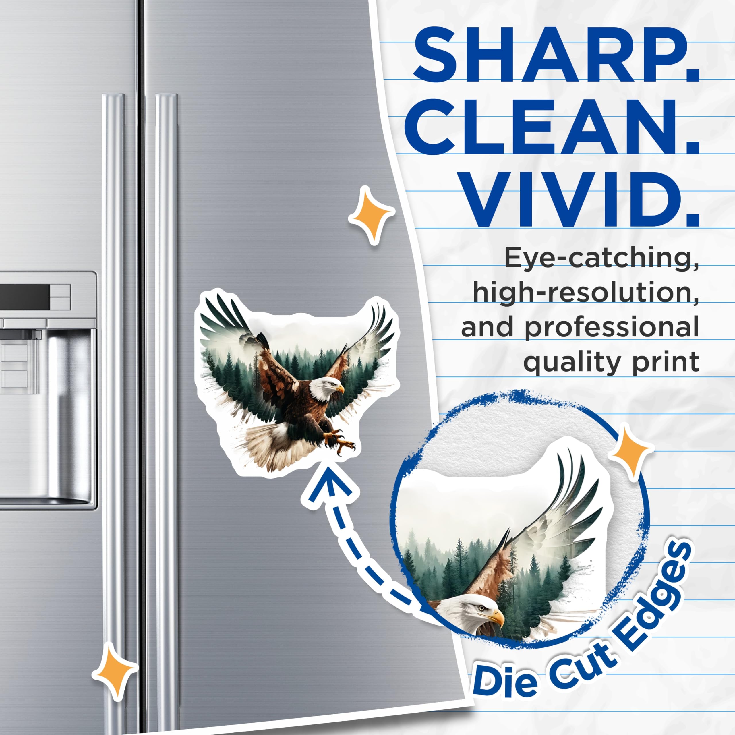 (2 Pack) Eagle Magnets - Wildlife Illustration - Majestic Bird Fridge Decor - 5" On Longest Side - Premium Magnet - for Cars, Refrigerators, Toolboxes, Lockers - Made in USA - MAG14346